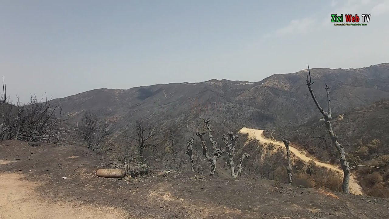 Vu Sur La Route De 