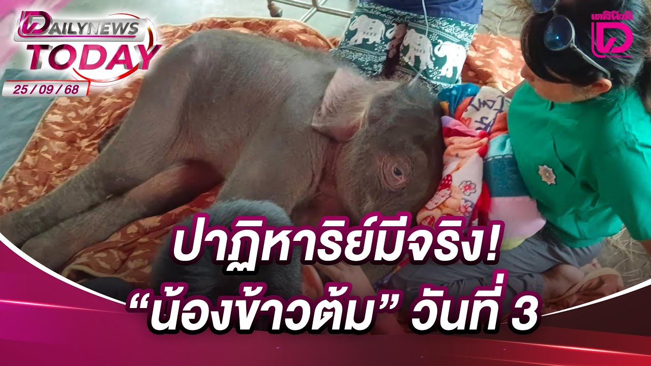 ปาฏิหาริย์มีจริง! 