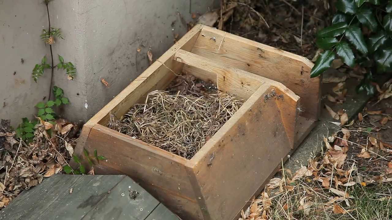 Süngarázs / Hedgehog box in the garden, Budapest - Hungary (2013.07.16.)