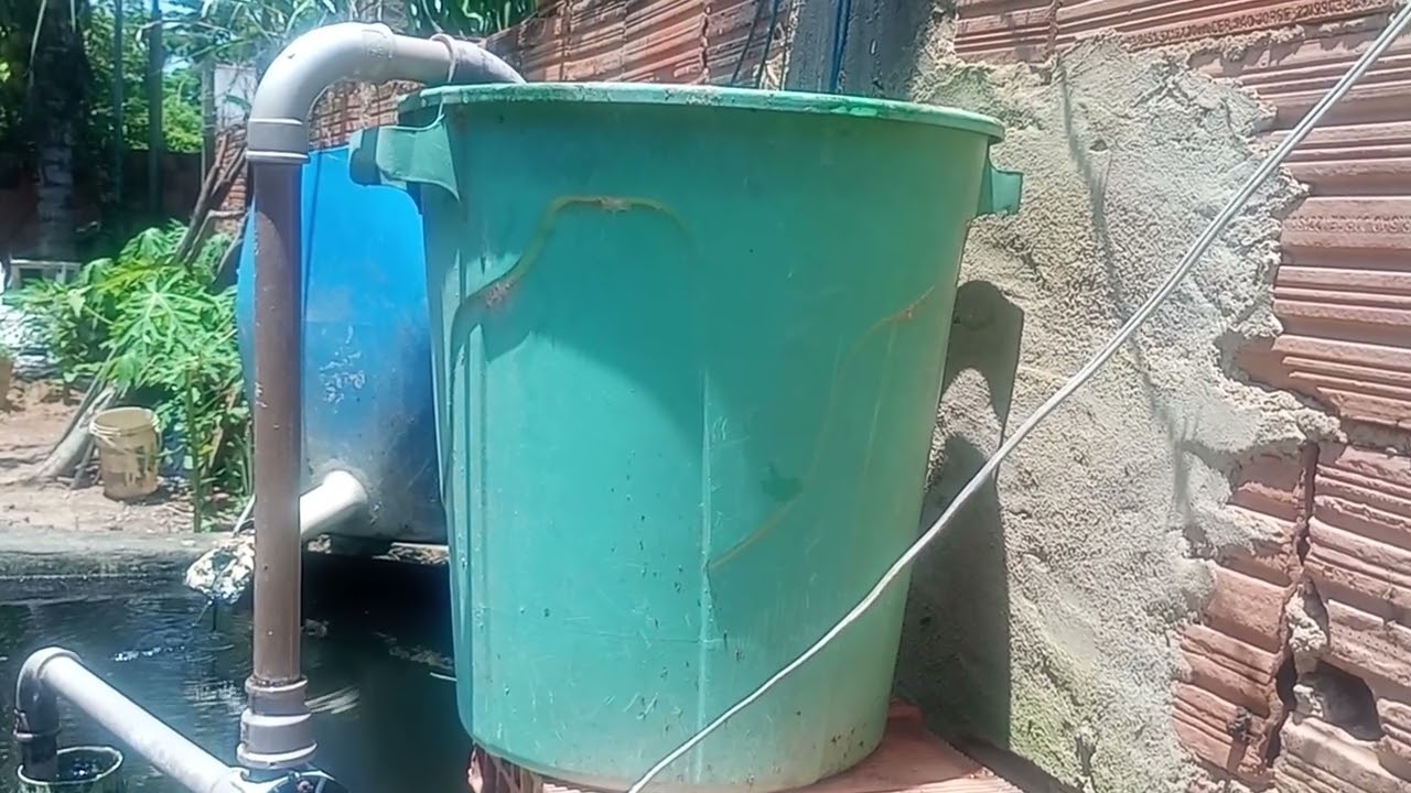 Como começar uma criação de peixes ? com sistema de oxigenação e filtragem ou sem? Veja. 