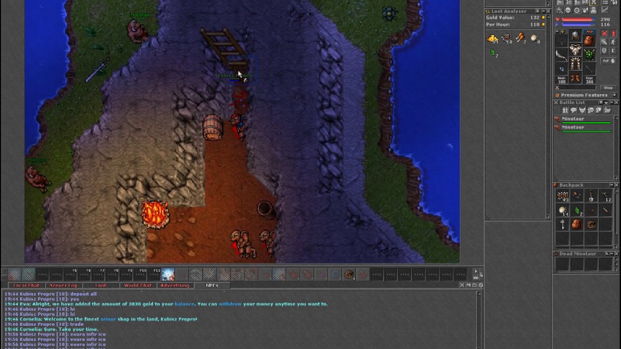 Zachciało się... Tibia #16