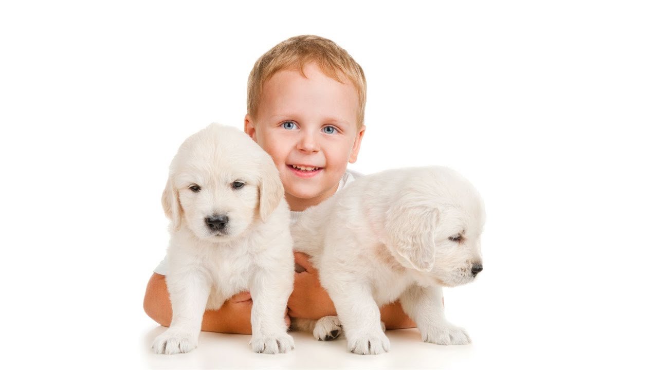 How to Play with Your Puppy | Puppy Care