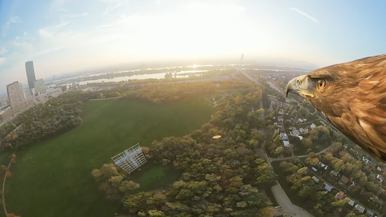 Vienna from an eagle's eye view - 360&deg; (long)
