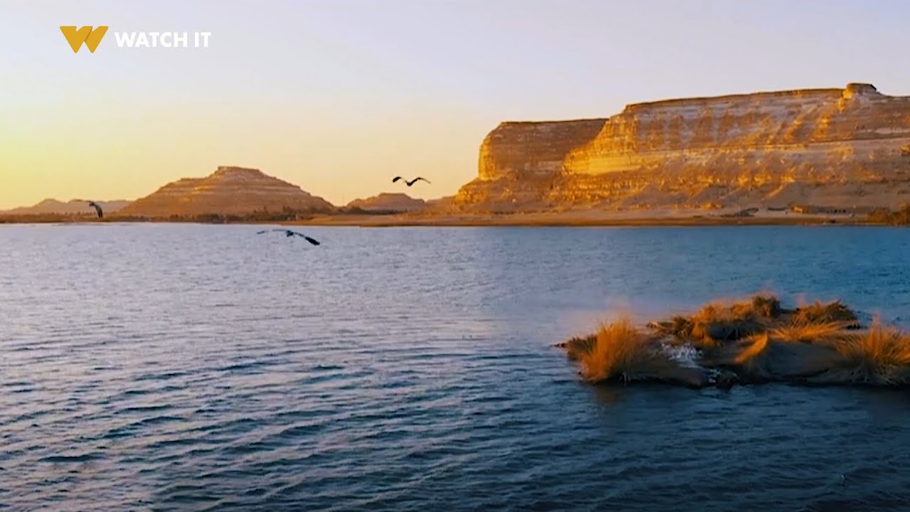 النداهة | سيوة .. عندما يقع التاريخ في غرام الجغرافيا