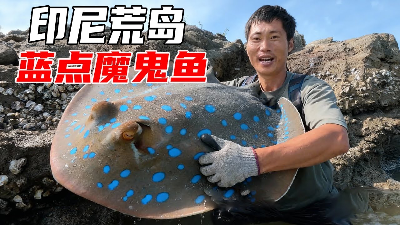距离大陆最远的海豚岛生存挑战（下）：长期食用椰子水身体状况告急，带着美女队友转移阵地，下海抓蓝点魔鬼鱼当干粮【户外平头哥】