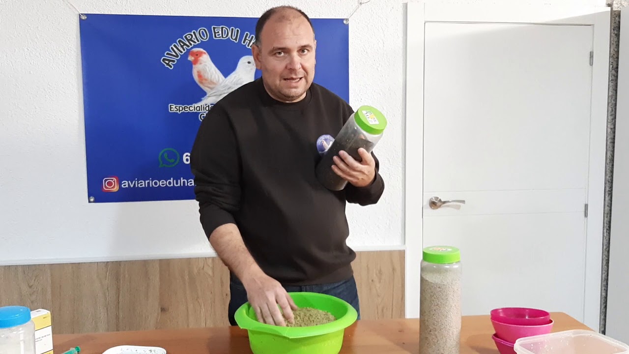 Pasta para embuchar pichones de canario y similares