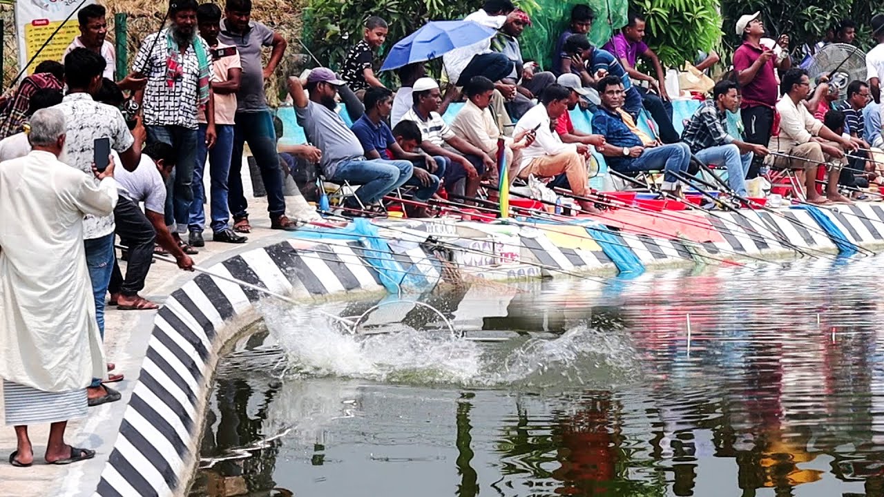 পাবনা অন্য লেভেলের মাছ ধরা | আব্বাসের পুকুর | BEST FISHING