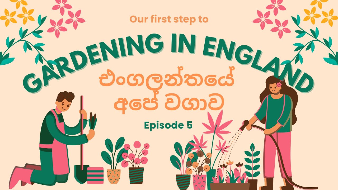 එංගලන්තයේ අපේ වගාව | Gardening in England Episode 5 🪏👩‍🌾🫜