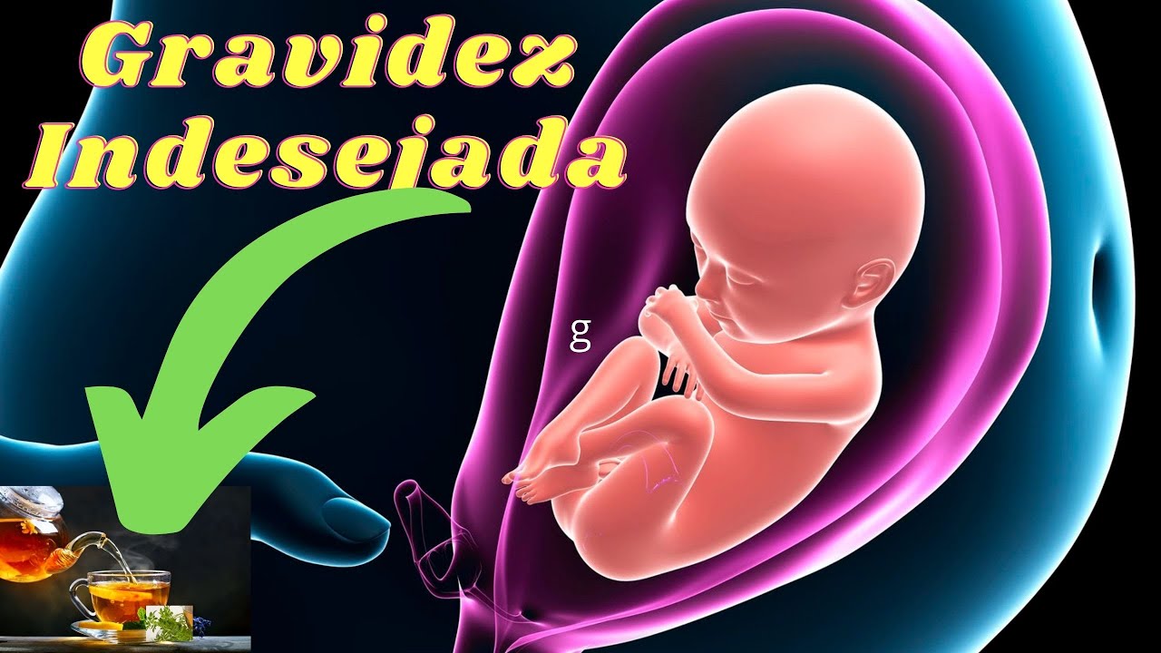 Ch&aacute; de Arruda para Menstrua&ccedil;&atilde;o