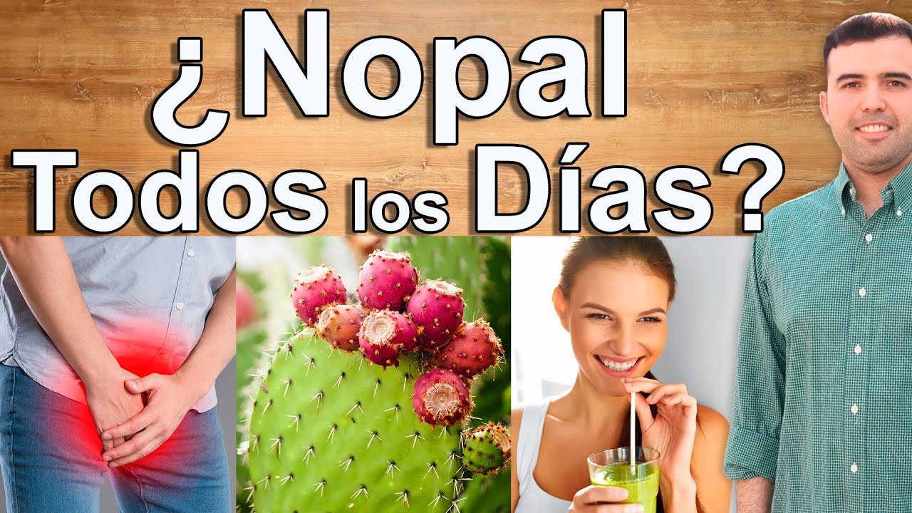 &iquest;ES MALO COMER NOPAL? - Para Qu&eacute; Sirve, Beneficios y Contraindicaciones del Nopal Para la Salud