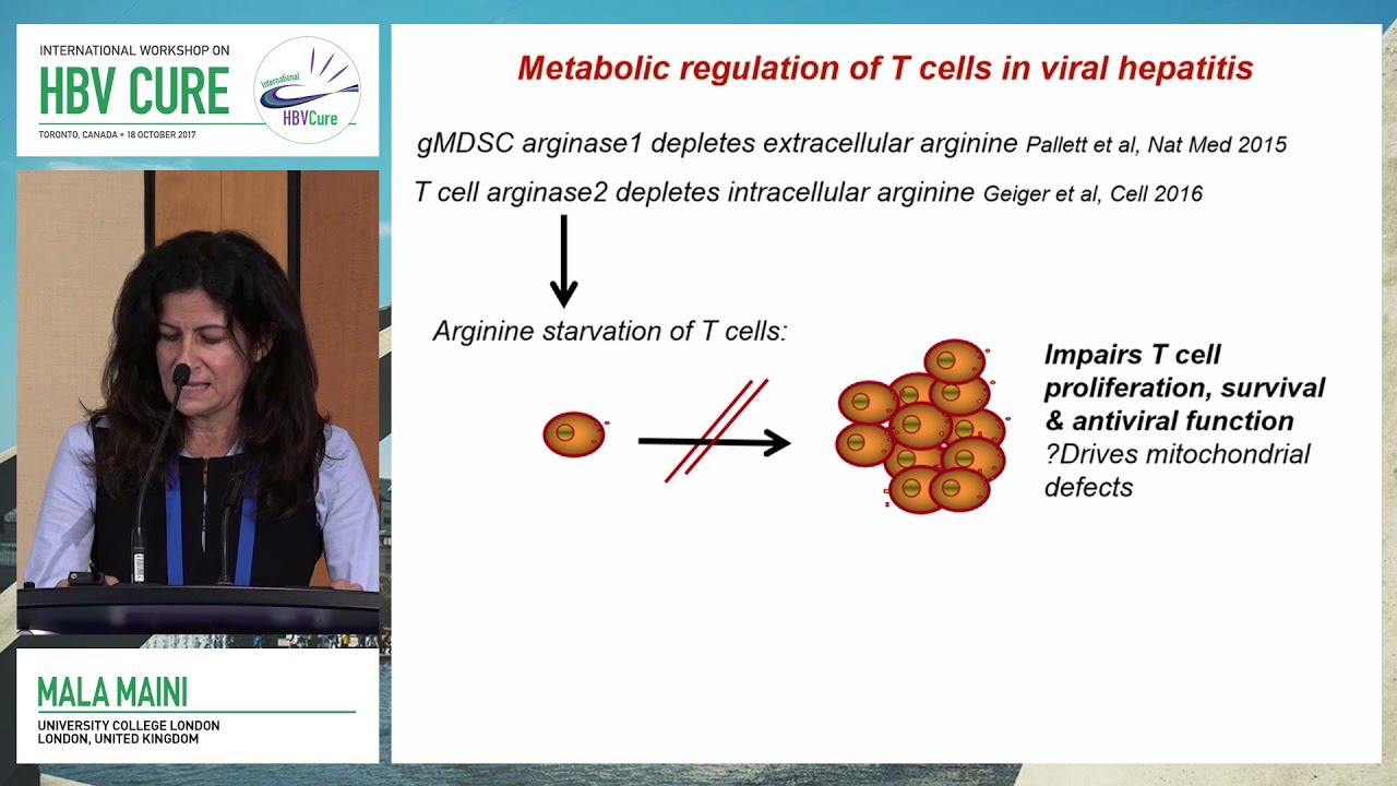 How does HBV interact with the immune system | Mala Maini, MD, PhD
