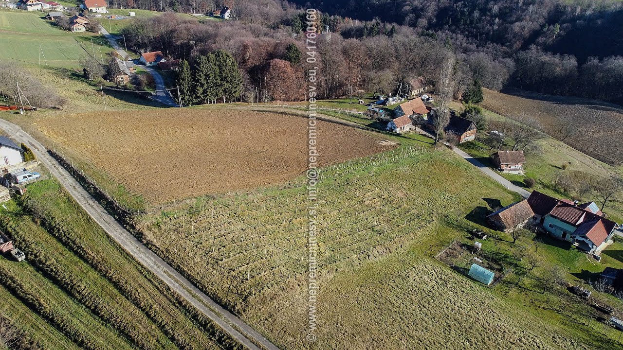 Sončna posest z gradbeno parcelo in vinogradom – Zbigovci (bližina Avstrije)
