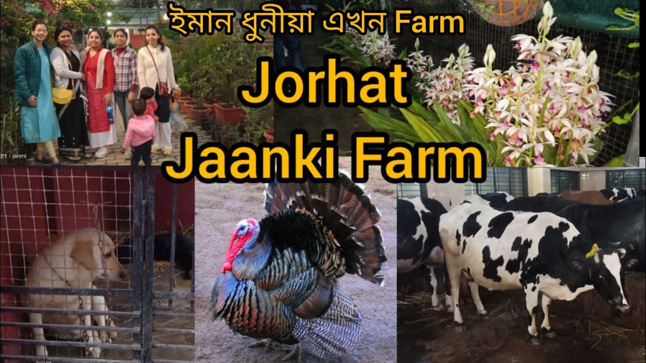 Jaanki farm and resort#যোৰহাটত থকা এখন ধুনীয়া Farm#jorhat