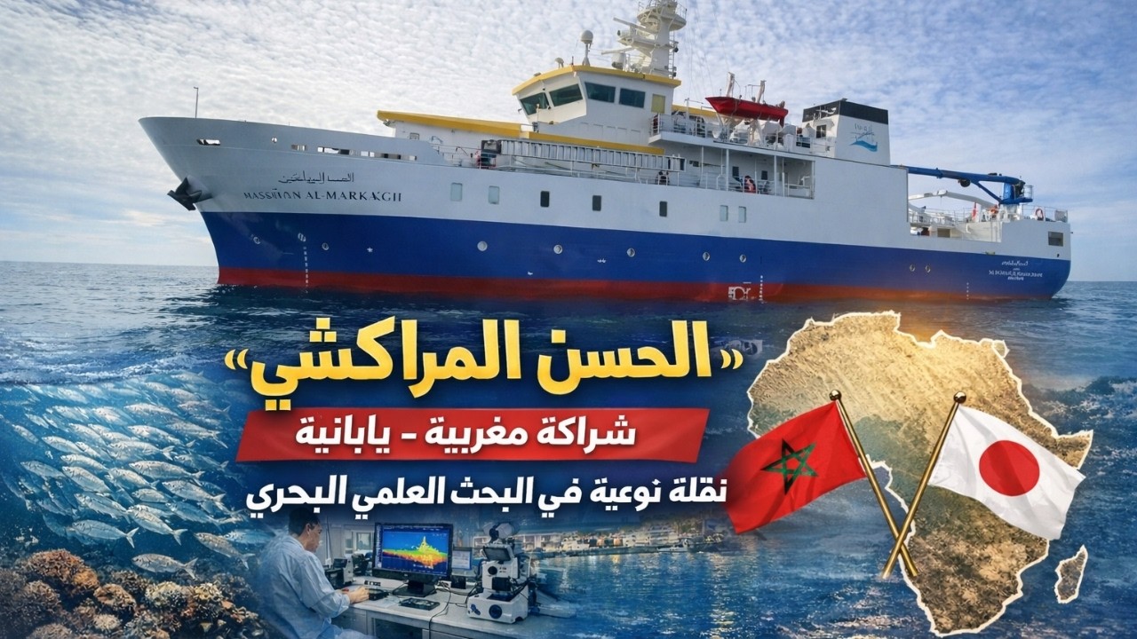 سفينة 