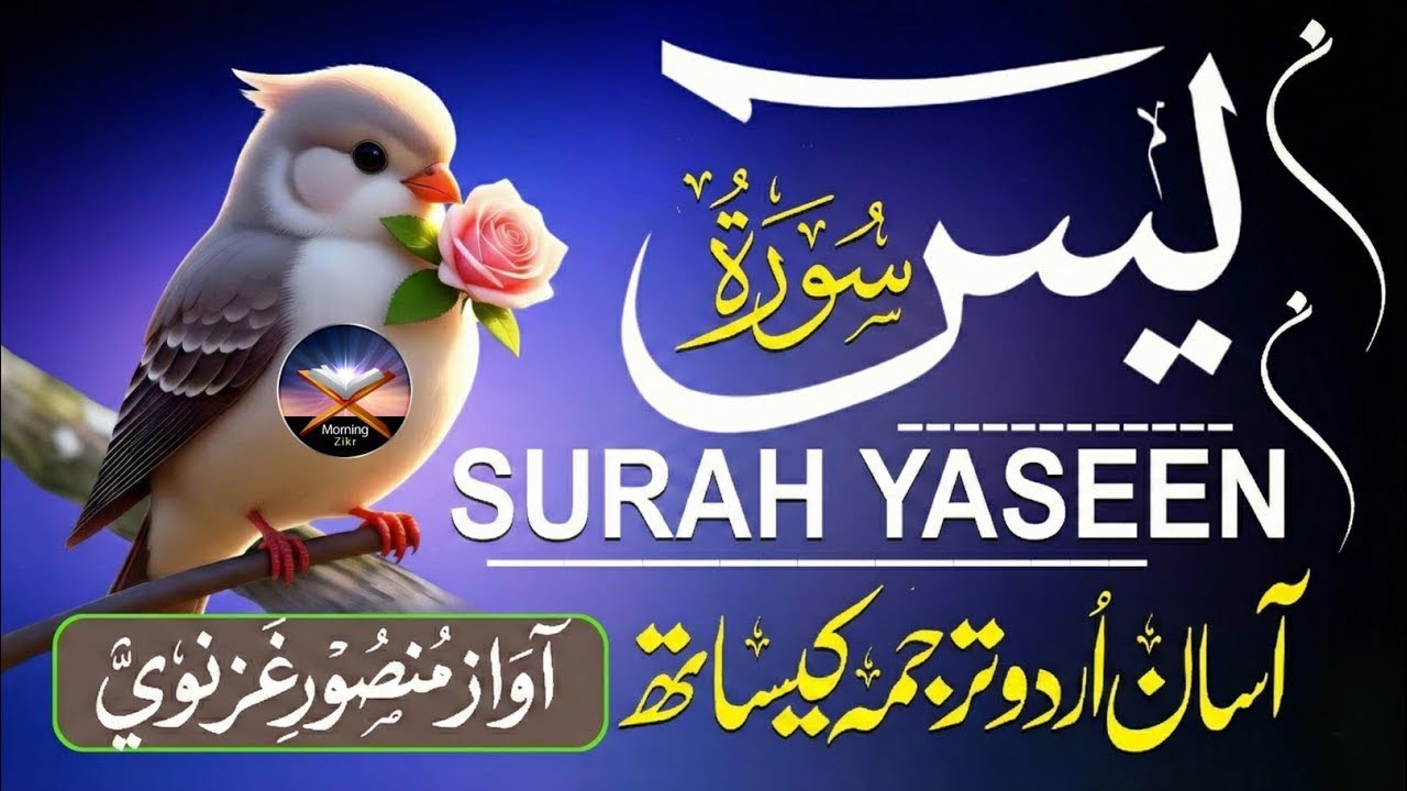 Surah Yaseen سورة يس | Relaxing Quran Recitation for Sleep, Stress Relief & Deep Calm #surahyaseen