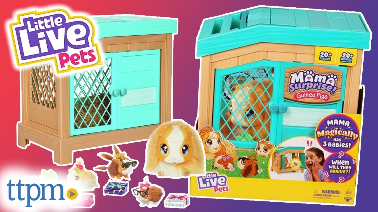 Little Live Pets Mama Surprise! Guinea Pigs from Moose Toys Review!