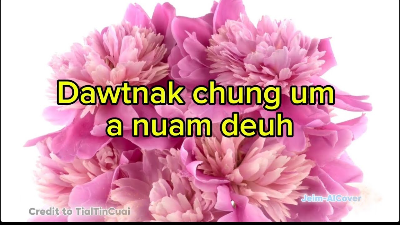 Dawtnak Chung Um A Nuam Deuh || AICover