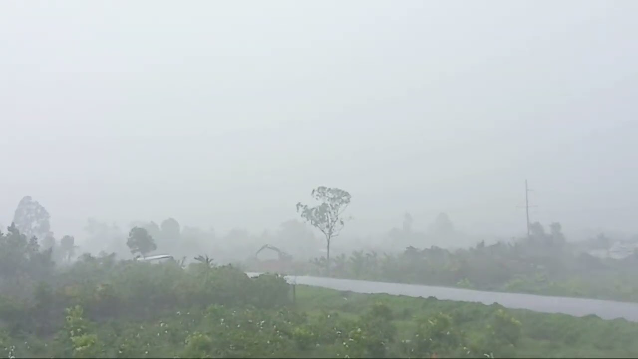 A Full Day in a Quiet Vietnamese Village  Rural Life Diary