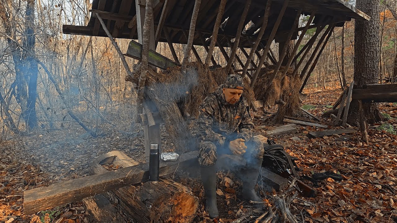 Тайга не отпускает.\\Тигры по всюду, не дают охотится.\\Охота в Приморском Крае.\\Ноябрь.