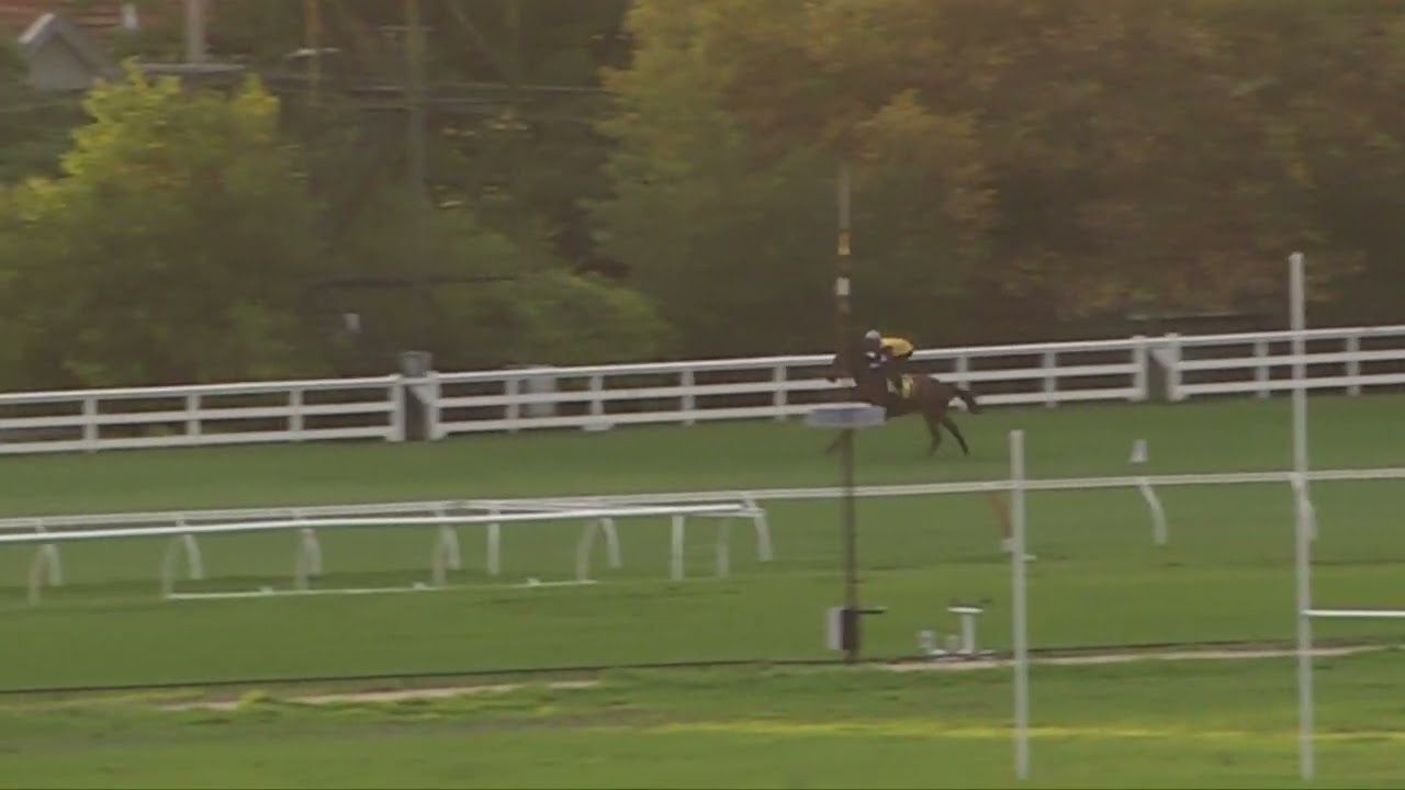 10 March    Gallops 2026    Gallop 5