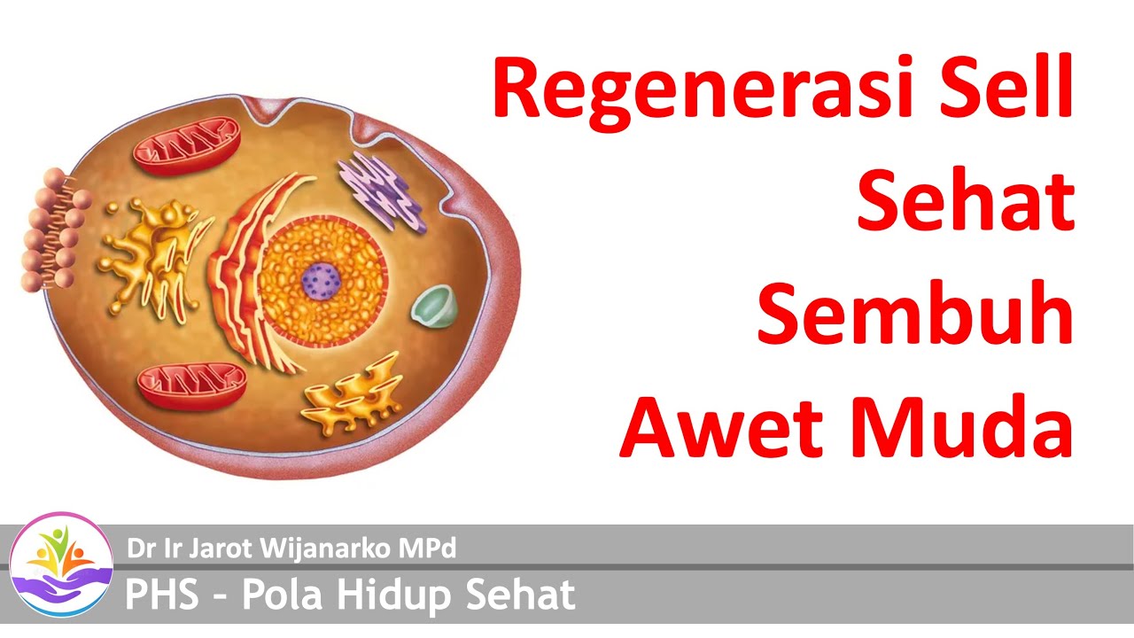 REGENERASI SELL, KUNCI SEMBUH, SEHAT & AWET MUDA - Dr Ir Jarot Wijanarko MPd
