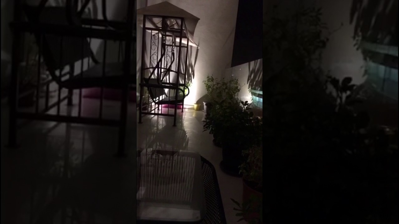 الجمعية الشهرية بين الفقر والثراء _ مريم الدخيل