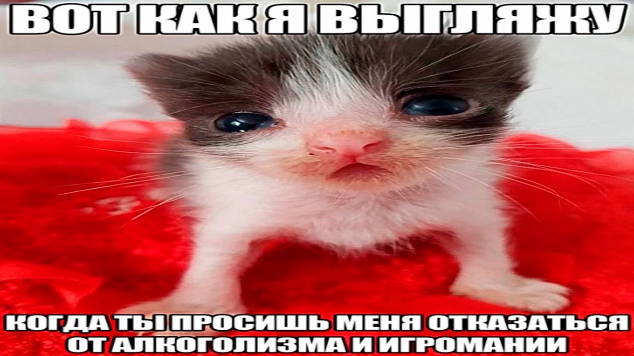 Немного игр и никакого негатива