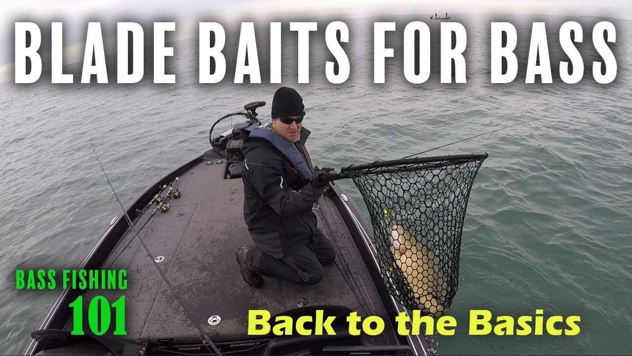 Fishing BLADE BAITS for Bass