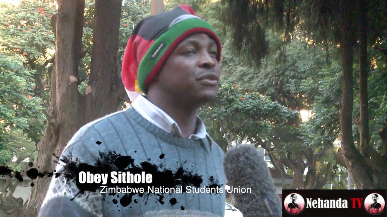 Africa Unity Square protestors speak to Nehanda TV