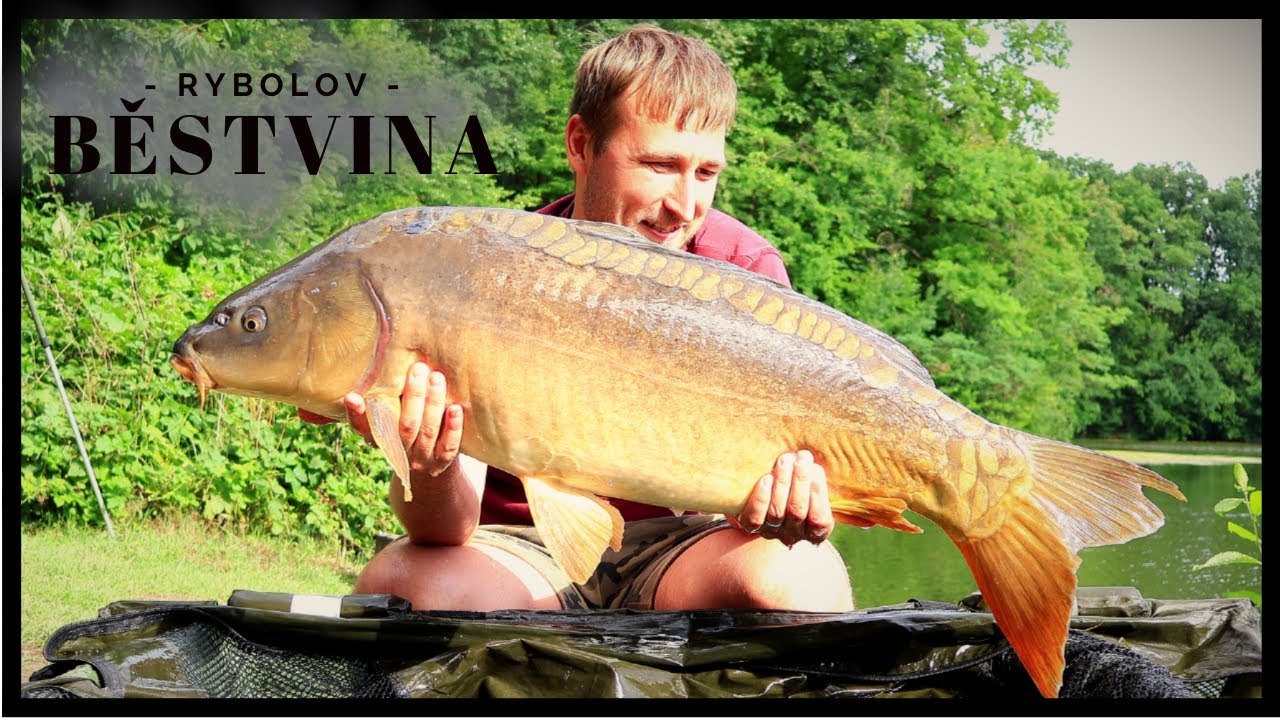 Výprava na Běstvinu + vyhlášení soutěže! #boilies #carpfishing #carp #vlog #tips