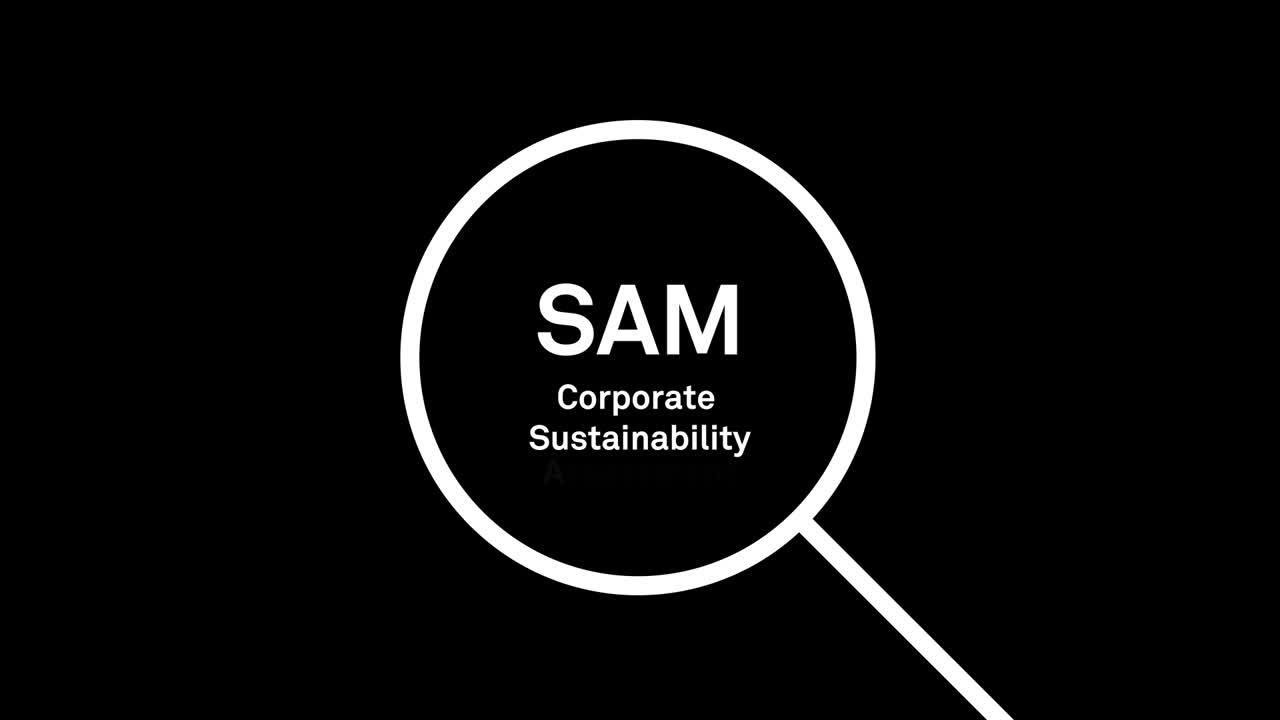 S&P Global ESG Scores