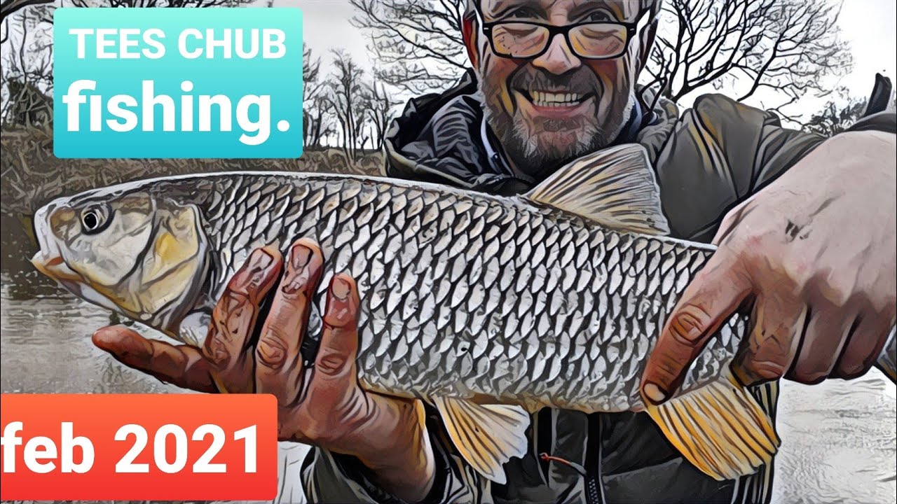River Tees Chub Fishing.18th feb 2021