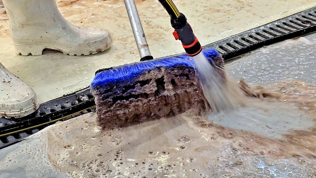 Carpet Cleaning: A Symphony of Suds | ASMR relaxing sounds