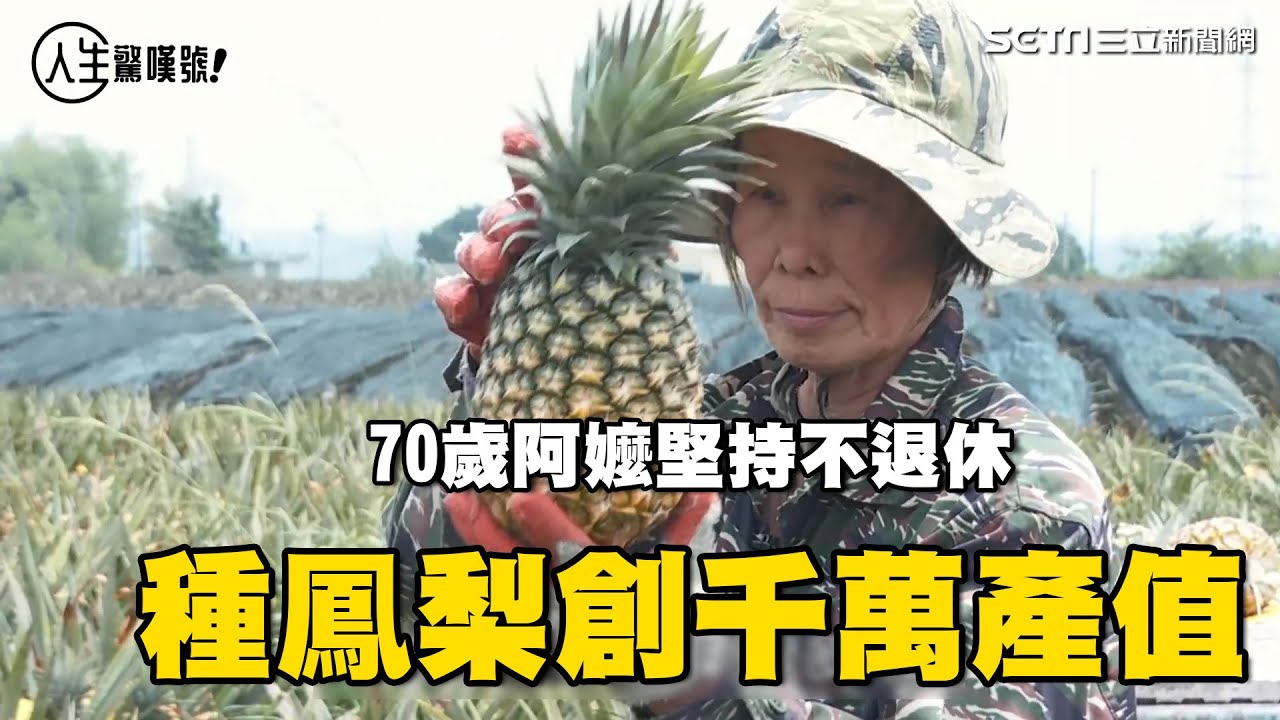 黃金傳奇／70歲阿嬤「種鳳梨」創千萬產值　每天早上4點下田「堅持不退休」：我還能工作，就是最幸福的事｜人生驚嘆號｜94要賺錢