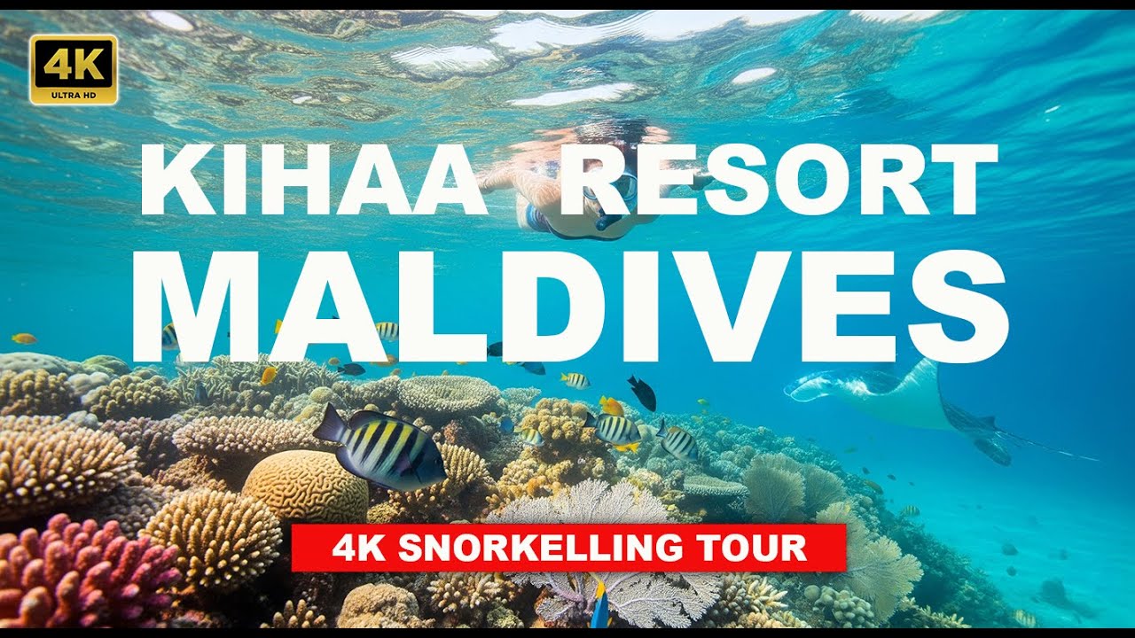 🇲🇻 Snorkelling in Kihaa Island, Maldives  – Explore Baa Atoll's Underwater Paradise 🌊🐠