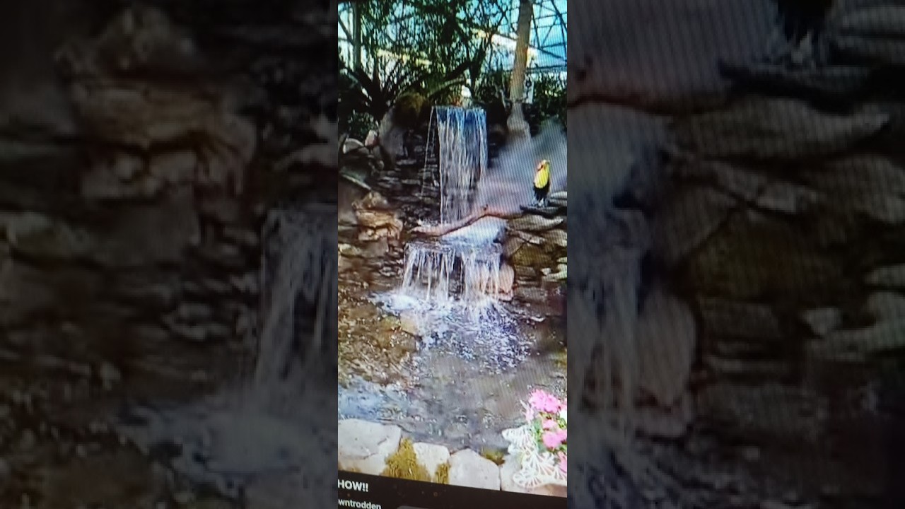 A VERY BEAUTIFUL PLANT, FLOWER, WATERFALL SHOW!!