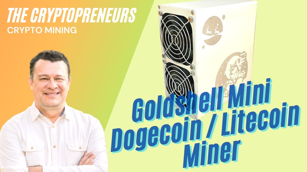 Beginner's Miner? Unboxing The Goldshell Mini Dogecoin / Litecoin Miner