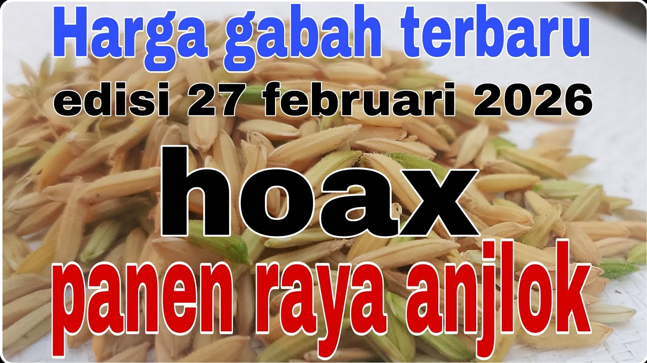 Harga gabah hari ini 27 februari 2026@Petanimuda2putra 