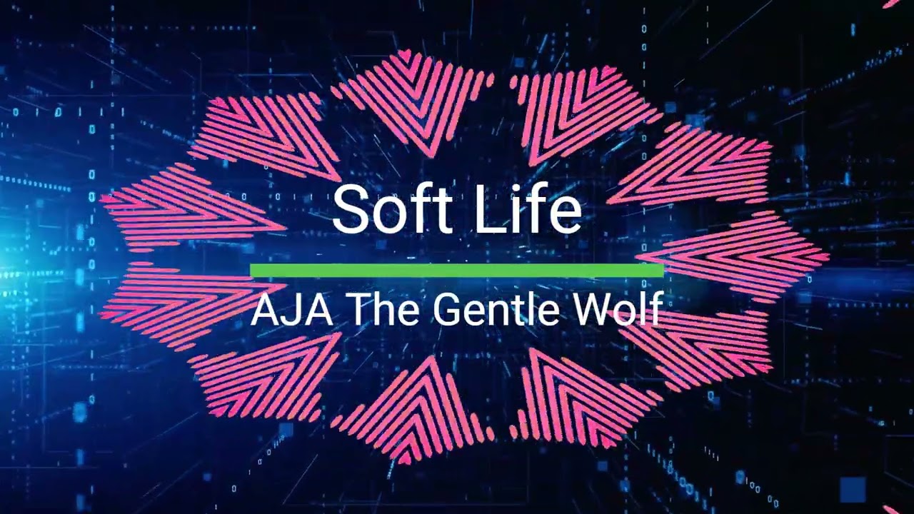 Soft Life - The Bag Knows My Name - Àjà (The Gentle Wolf)