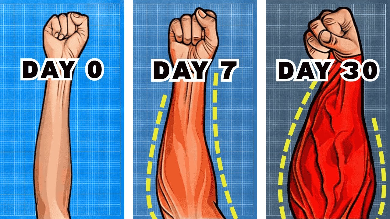 Top Exercises For THICK & VEINY Forearms