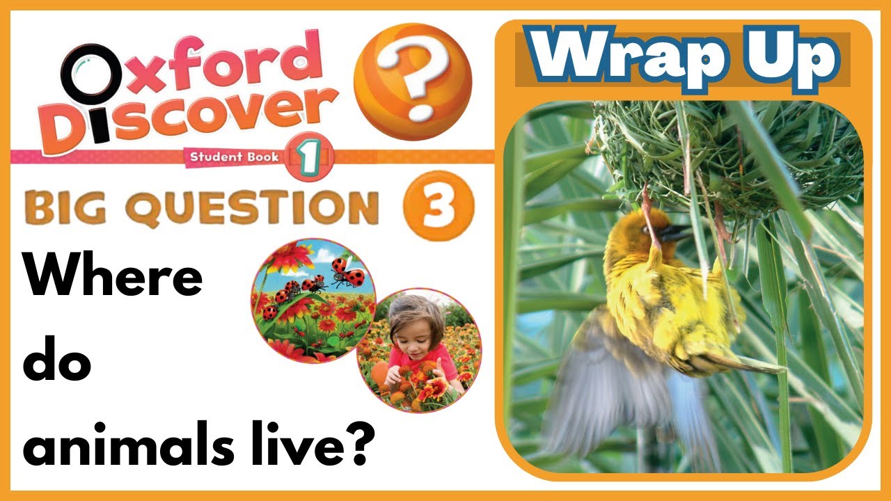 Oxford discover 1 | Big Question 3 | Where do animals live? | Wrap up