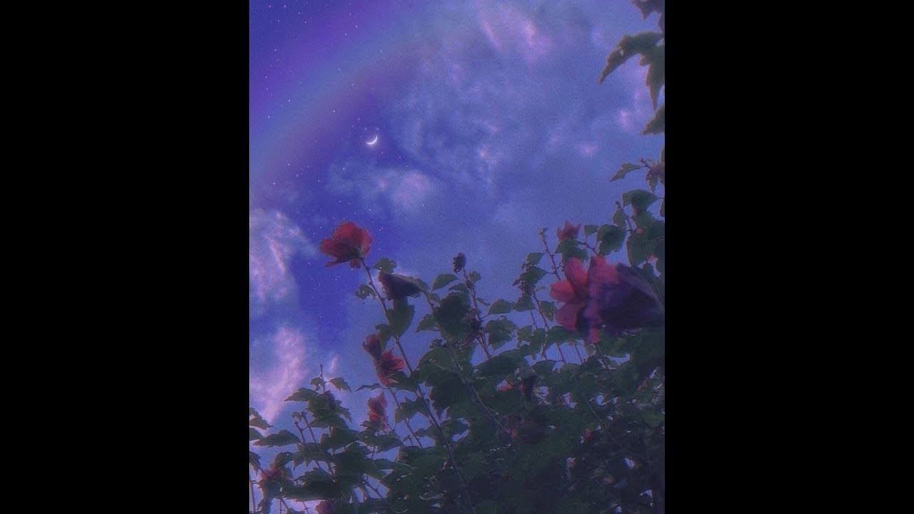 (FREE) Playboi Carti x Adrian x Pierre Bourne Type Beat 