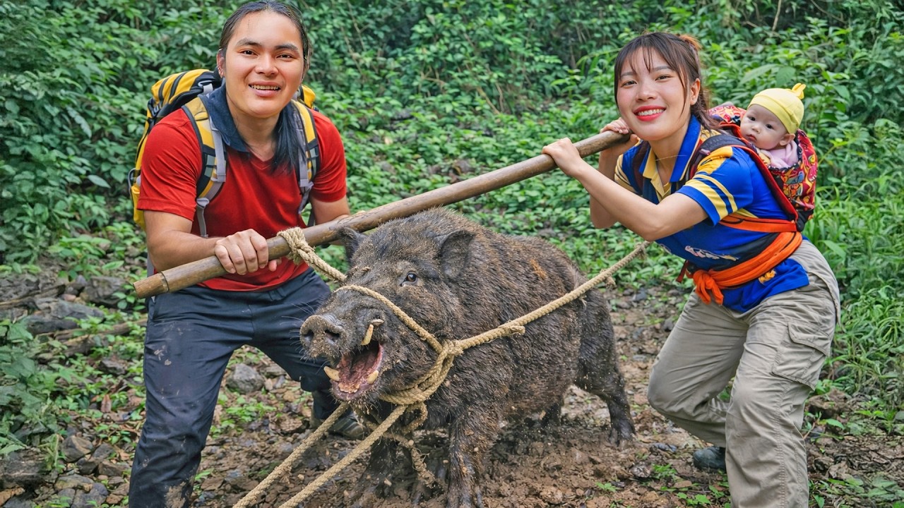 Setting Traps for Wild Boars While Harvesting in the Deep Forest - Survival Skills | SURVIVAL ALONE