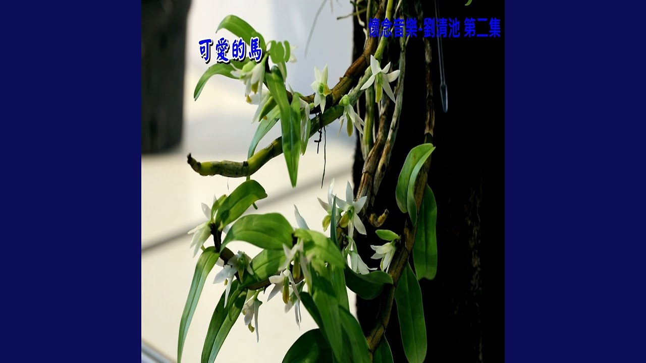給天下無情的男性