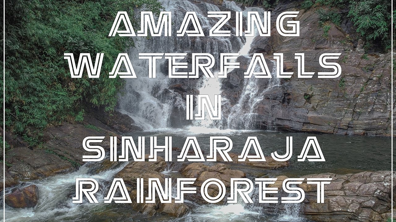 Sinharaja rainforest five waterfall within one day