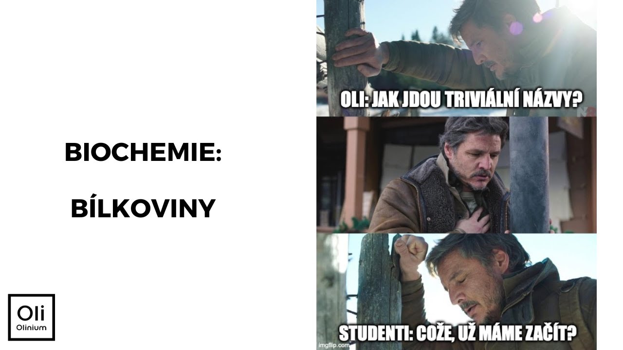 B&iacute;lkoviny - biochemie