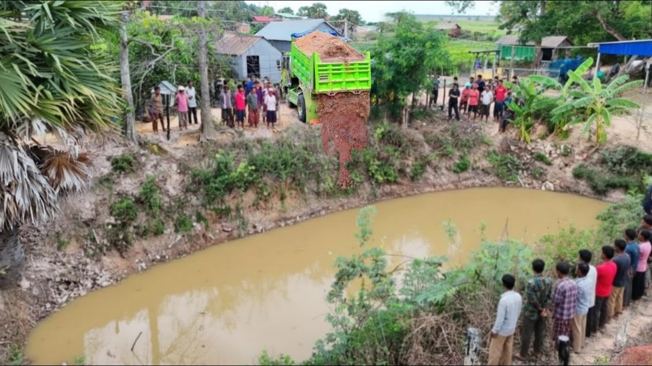 First Starting New Perfect Project Clearing POND by Bulldozer D21P Push, 5-T Dump Truck Overloading