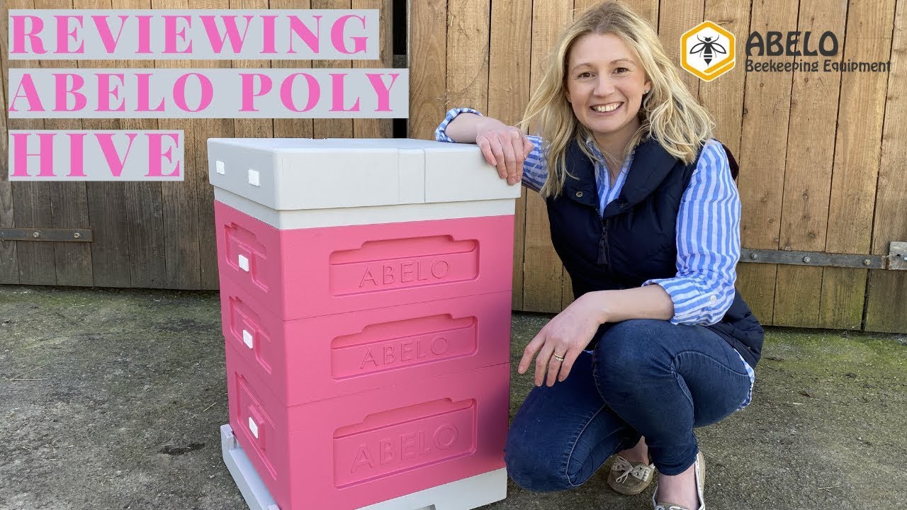 Reviewing And Unboxing Abelo's Poly Hive