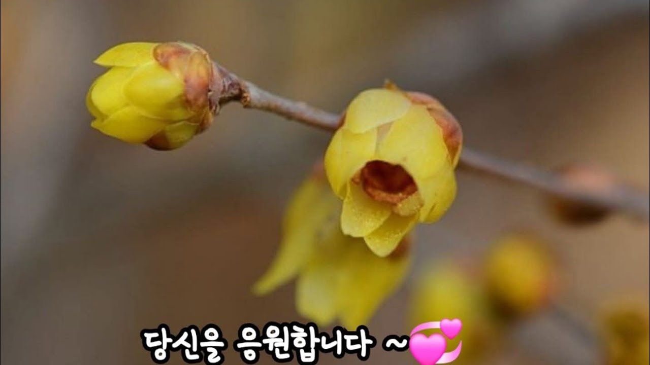 🔥수요예배 찬양🔥 