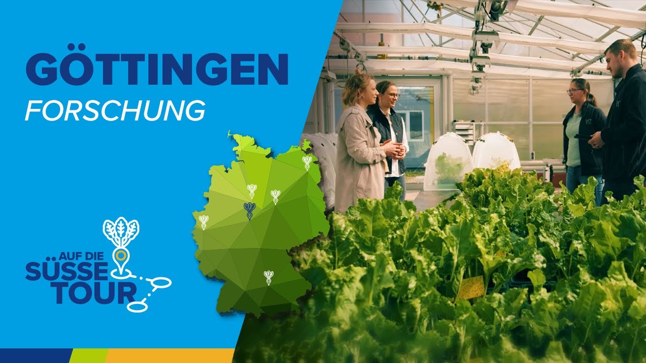 Die Zuckerrüben-Forschung | #AufdiesüßeTour in Göttingen | Folge 3